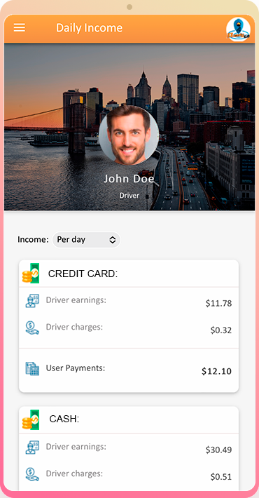Ready Go USA driver app showing daily earnings and trip statistics